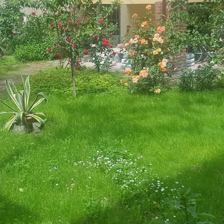 דירה Little House טימישוארה